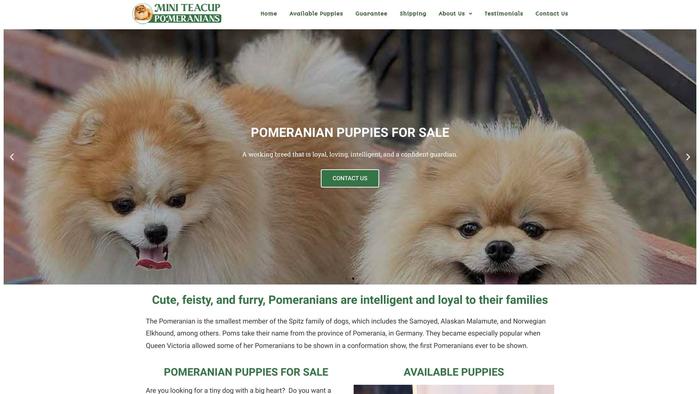 Miniteacuppomeranians.com - Pomeranian Puppy Scam Review