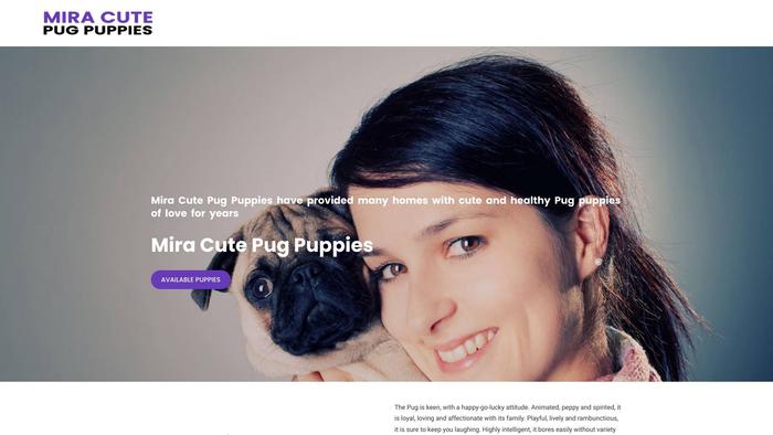 Miracutepugpuppies.com - Pug Puppy Scam Review