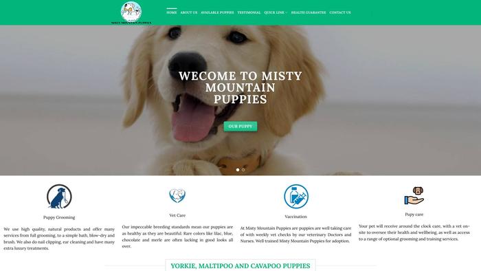 Mistymountainpuppies.net - Chowchow Puppy Scam Review