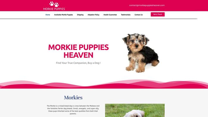 Morkiepuppiesheaven.com - Yorkshire Terrier Puppy Scam Review