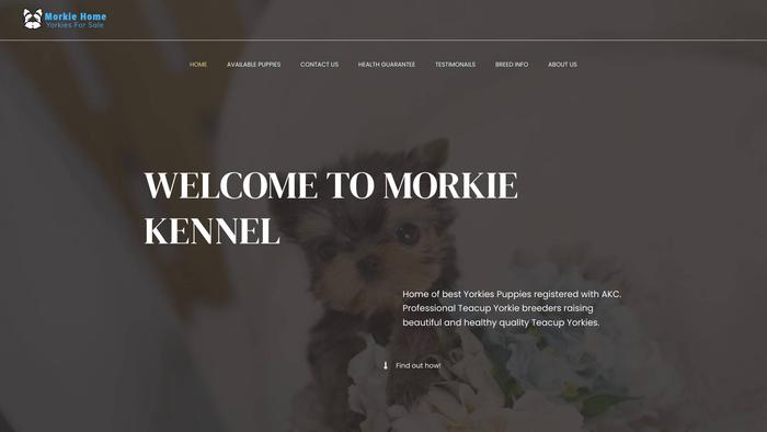 Morkieskennel.com - Yorkshire Terrier Puppy Scam Review