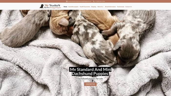 Mystandardandminidachshundpuppies.com - Dachshund Puppy Scam Review