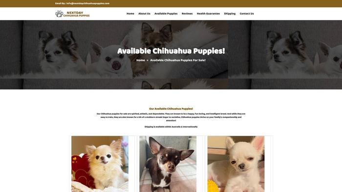 Nextdaychihuahuapuppies.com - Chihuahua Puppy Scam Review