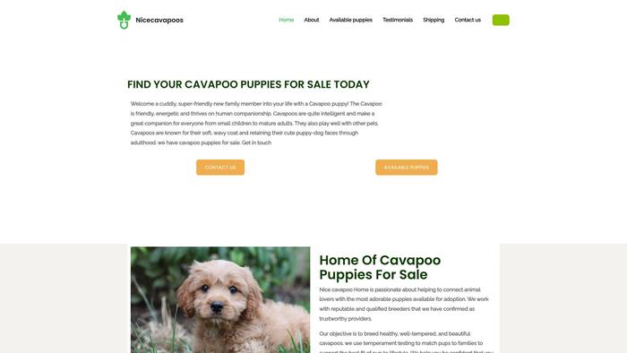 Nice-cavapoos.com - Cavapoo Puppy Scam Review