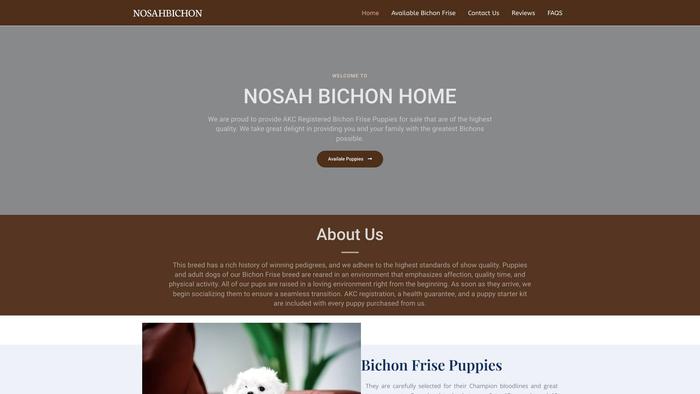 Nosahbichon.com - Bichon Frise Puppy Scam Review