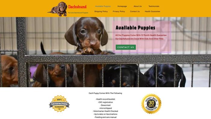 Ocedr.com - Dachshund Puppy Scam Review