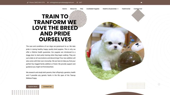 Onthegoteacupmaltese.com - Maltese Puppy Scam Review