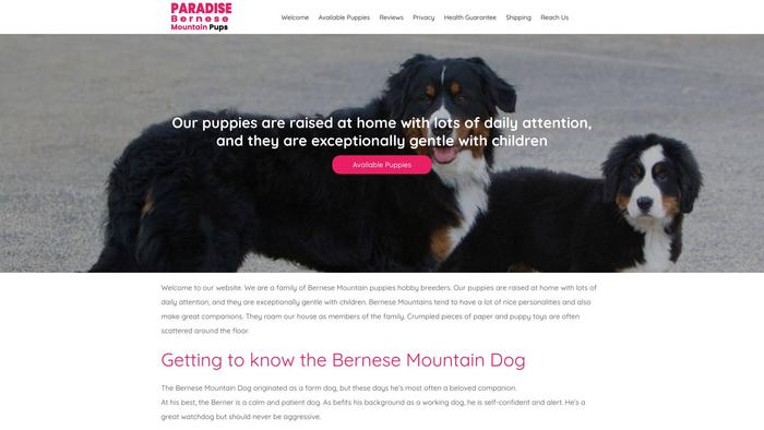 Paradisebernesemountainpups.com - Bernese Mountain Dog Puppy Scam Review