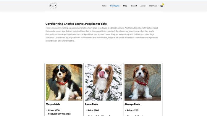 Paulspaniels.com - Cavalier King Charles Spaniel Puppy Scam Review