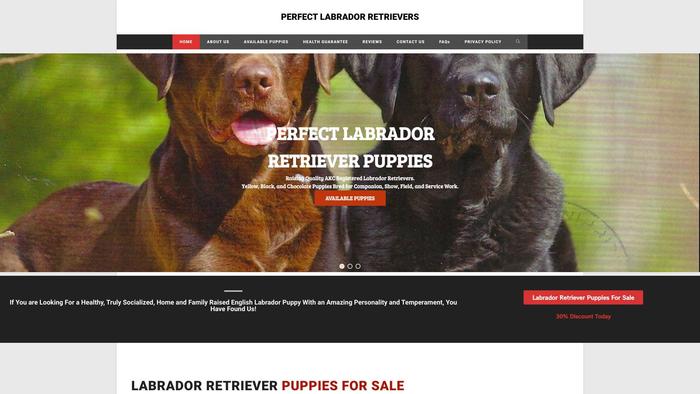 Perfect-labradors.com - Golden Retriever Puppy Scam Review