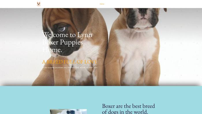 Perseyboxers.com - Boxer Puppy Scam Review