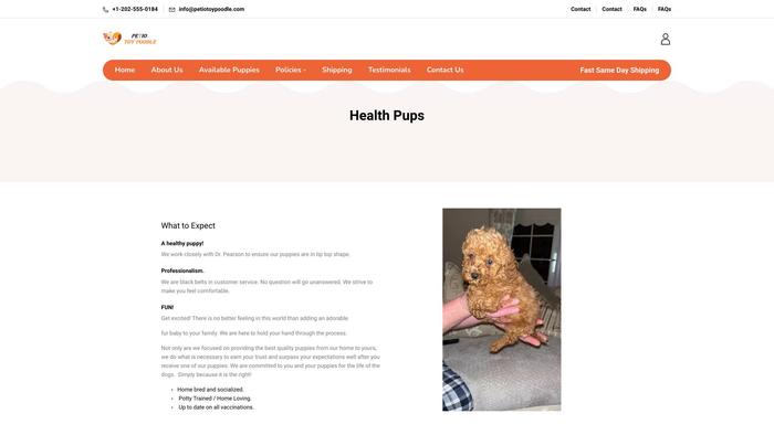 Petiotoypoodle.com - Poodle Puppy Scam Review