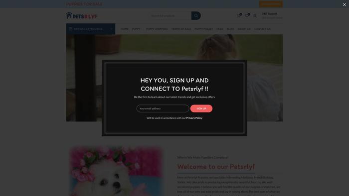 Petsrlyf.com - French Bulldog Puppy Scam Review