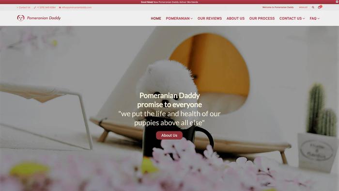 Pomeraniandaddy.com - Pomeranian Puppy Scam Review