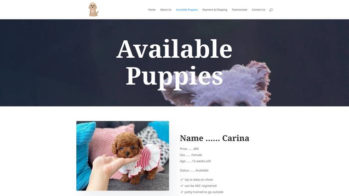 Poodle2022.com - Poodle Puppy Scam Review