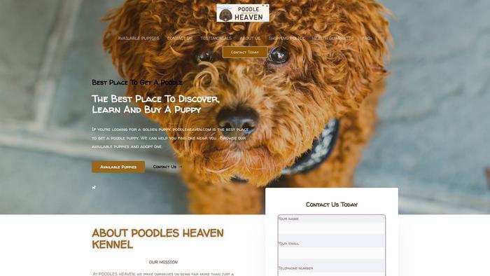 Poodlesheaven.com - Poodle Puppy Scam Review