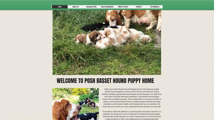 Poshbasset.com - Bassethound Puppy Scam Review