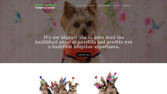 Pottytrianedyorkshireterrier.com - Terrier Puppy Scam Review