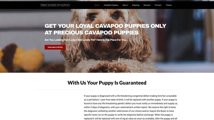 Preciouscavapoopuppies.com - Cavapoo Puppy Scam Review