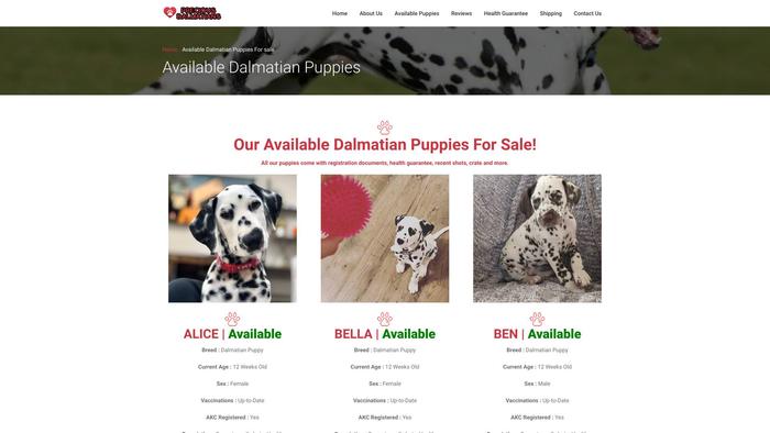 Preciousdalmatians.com - Labrador Puppy Scam Review