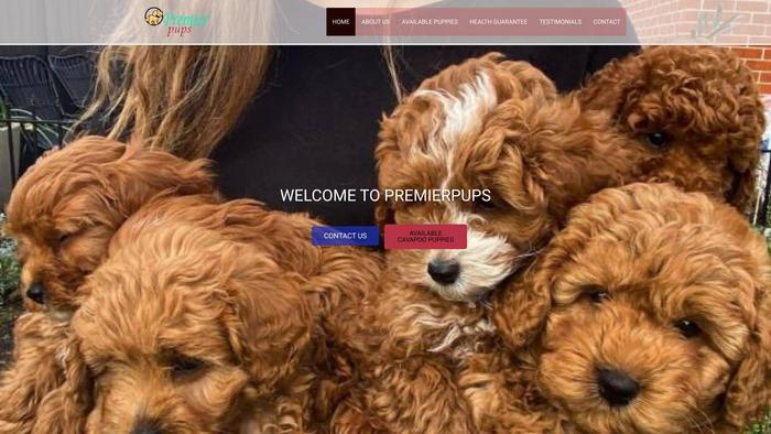 Premierpups2.com - Cavapoo Puppy Scam Review