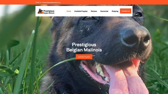 Prestigiousbelgianmalinois.com - Germanshepherd Puppy Scam Review