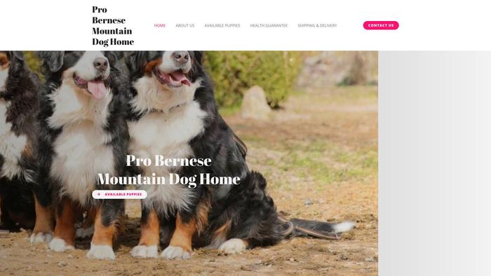 Probernesemountaindoghome.com - Bernese Mountain Dog Puppy Scam Review