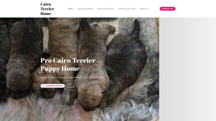 Procairnterrierpuppyhome.com - Terrier Puppy Scam Review