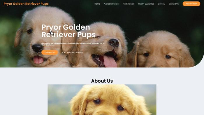 Pryorgoldenretrieverpups.com - Golden Retriever Puppy Scam Review