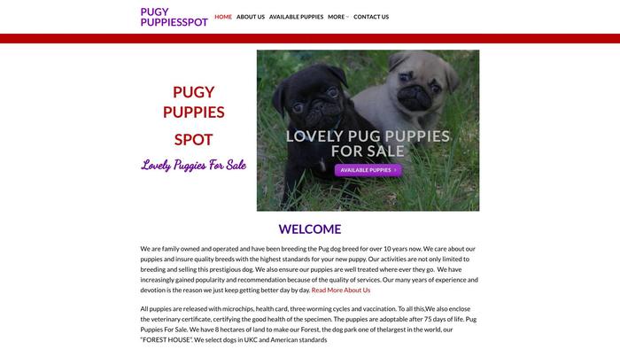 Pugypuppiesspot.com - Pug Puppy Scam Review