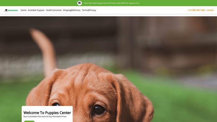 Puppiescenter.dog - Golden Doodle Puppy Scam Review