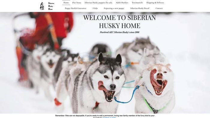 Puppieshusky.com - Husky Puppy Scam Review