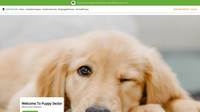 Puppysector.com - Golden Doodle Puppy Scam Review