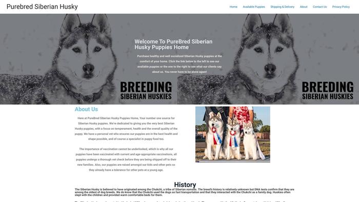 Purebredsiberianhuskypuppies.com - Husky Puppy Scam Review