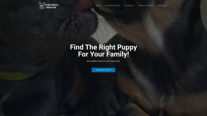 Purebreedfrenchie.com - French Bulldog Puppy Scam Review