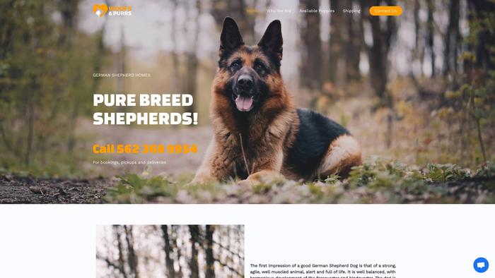 Purebreedshepherd.com - Germanshepherd Puppy Scam Review