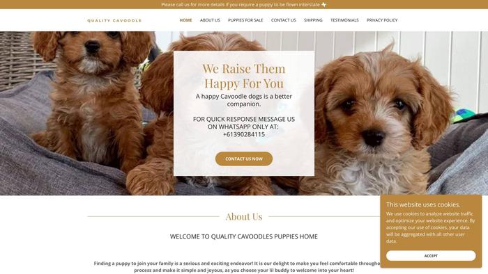 Qualitycavoodlepuppies.com - Cavapoo Puppy Scam Review