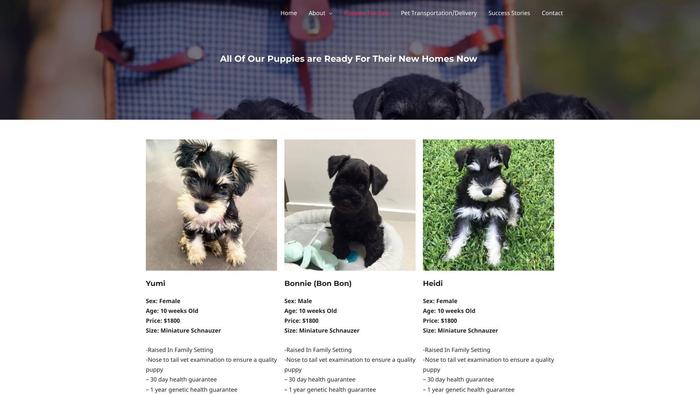 Quatronminischnauzers.com - Schnauzer Puppy Scam Review