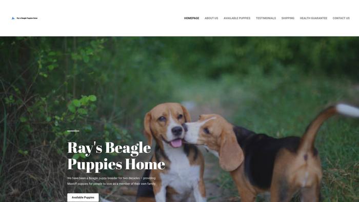 Raysbeaglepuppieshome.com - Beagle Puppy Scam Review