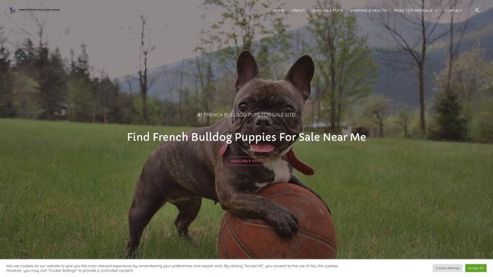 Regifrenchbulldoghome.com - French Bulldog Puppy Scam Review