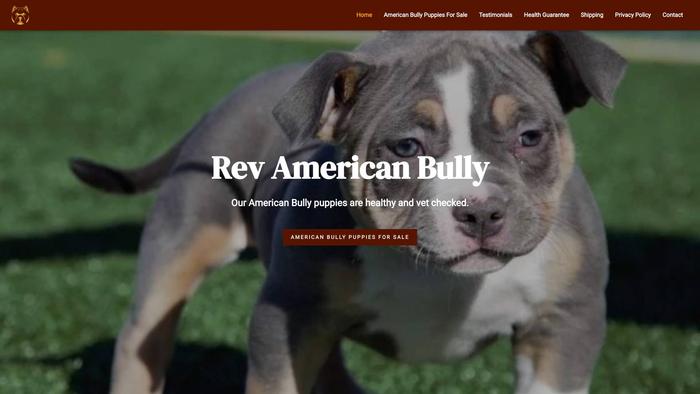 Revbullies.com - Pit Bull Puppy Scam Review