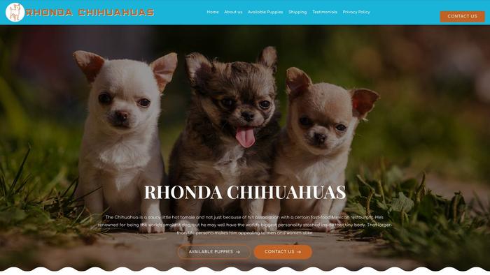 Rhondachihuahuas.com - Chihuahua Puppy Scam Review