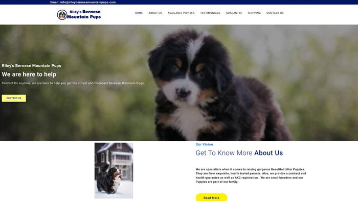 Rileybernesemountainpups.com - Bernese Mountain Dog Puppy Scam Review