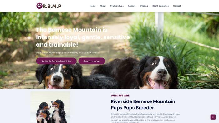 Riversidebernesemountainpups.com - Bernese Mountain Dog Puppy Scam Review