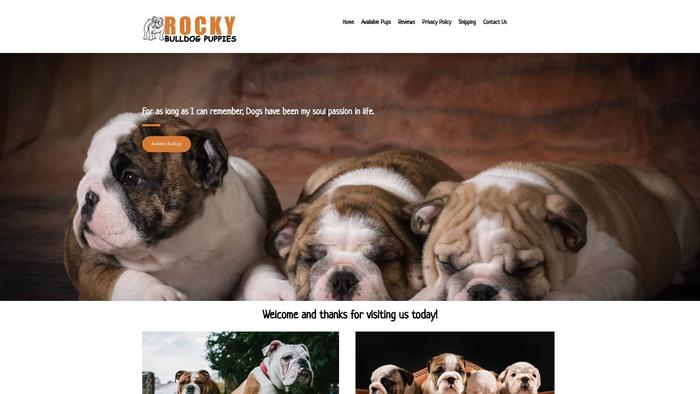 Rockybulldogpuppies.com - Bulldog Puppy Scam Review