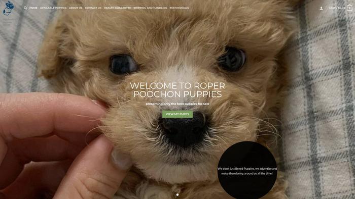 Roperpoochonpuppies.com - Maltipoo Puppy Scam Review