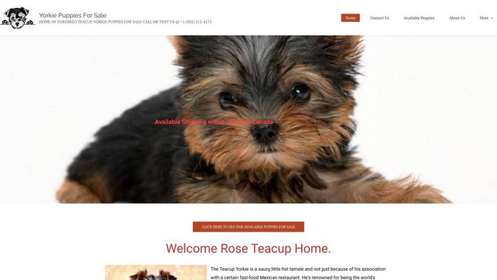 Roseteacuphomes.com - Yorkshire Terrier Puppy Scam Review