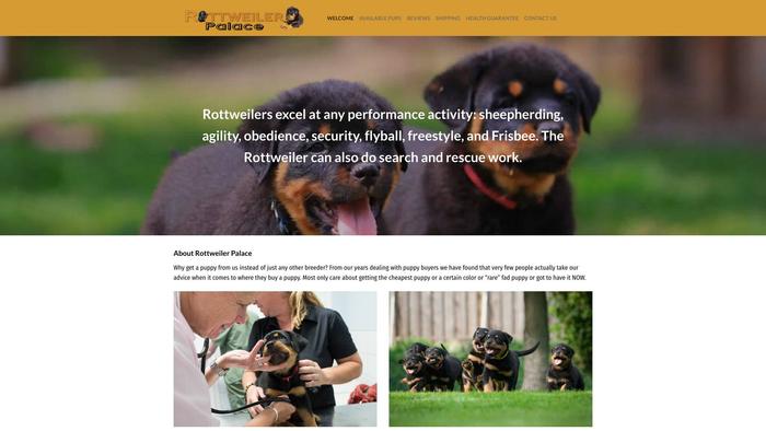 Rottweilerpalace.com - Rottweiler Puppy Scam Review