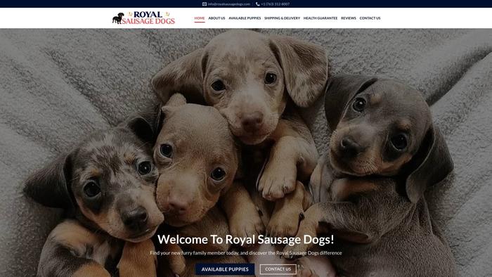 Royalsausagedogs.com - Dachshund Puppy Scam Review