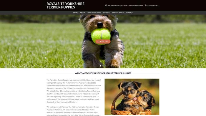 Royalsiteyorkshireterrierpuppies.com - Terrier Puppy Scam Review